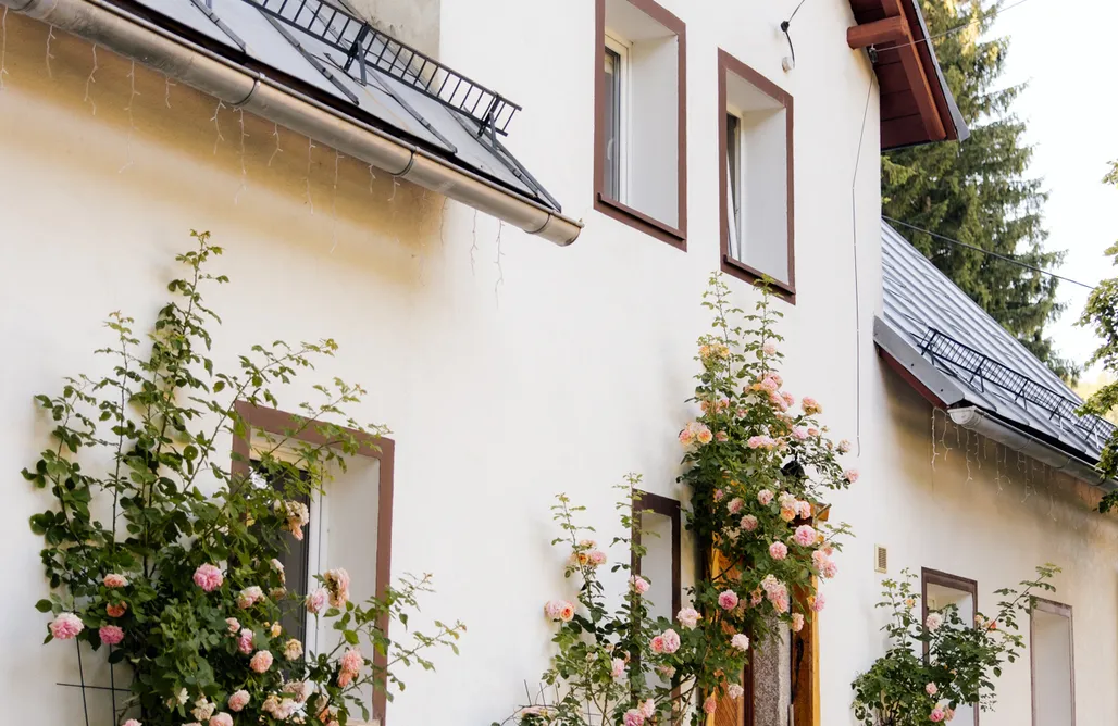 noclegi AlohaCamp Kręta 4 Dom Gościnny 5