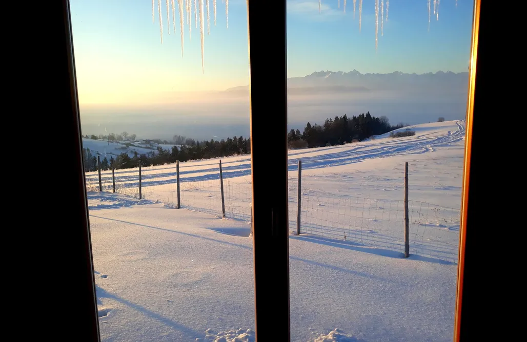 Alloggi AlohaCamp Woda Góry Las - glamping 1