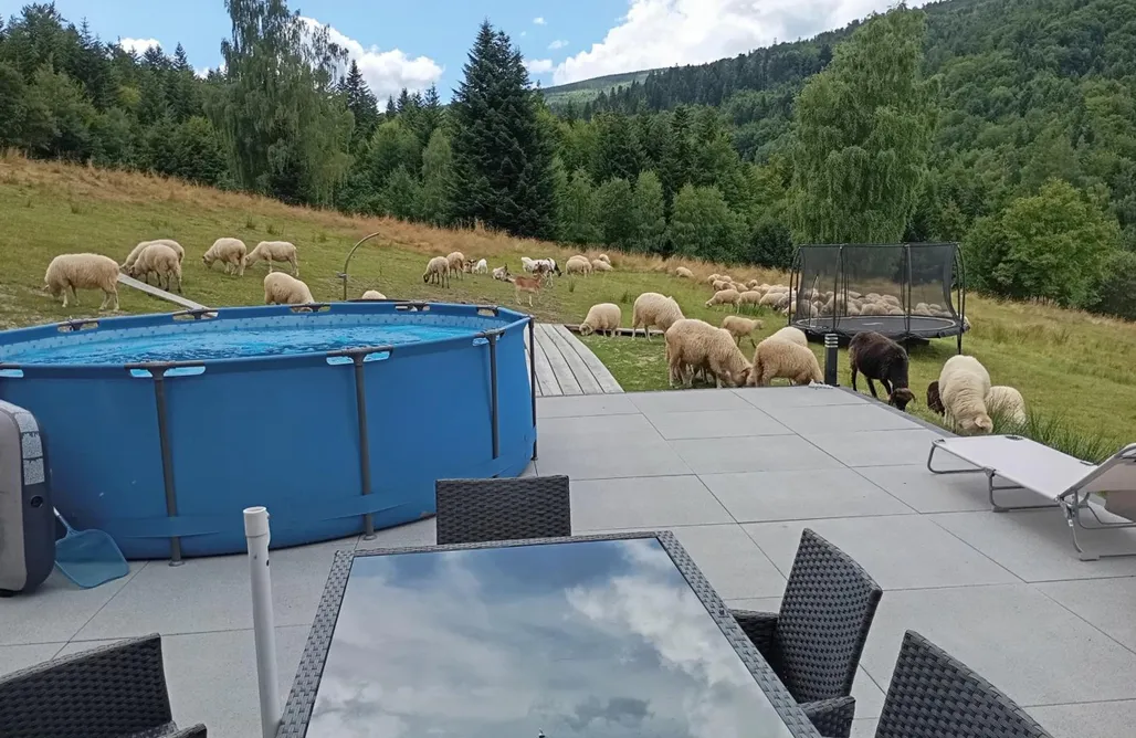 Domek Z Jacuzzi Zakopane Zielone Wzgórze 1