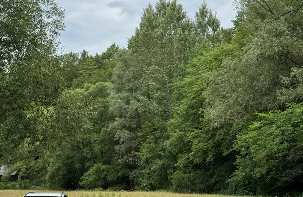 noclegi AlohaCamp Sanovia Glamping 1