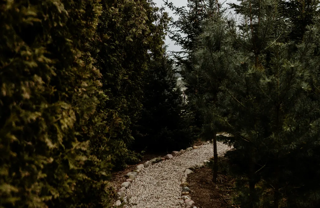 AlohaCamp Drewniana Ostoja 1