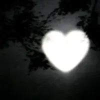 Patrycja użytkownik