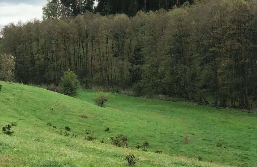 AlohaCamp Na skraju gaju 1