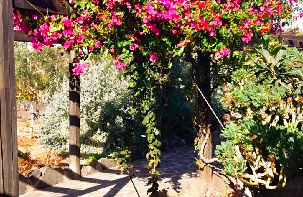 AlohaCamp casa el  yugo 1