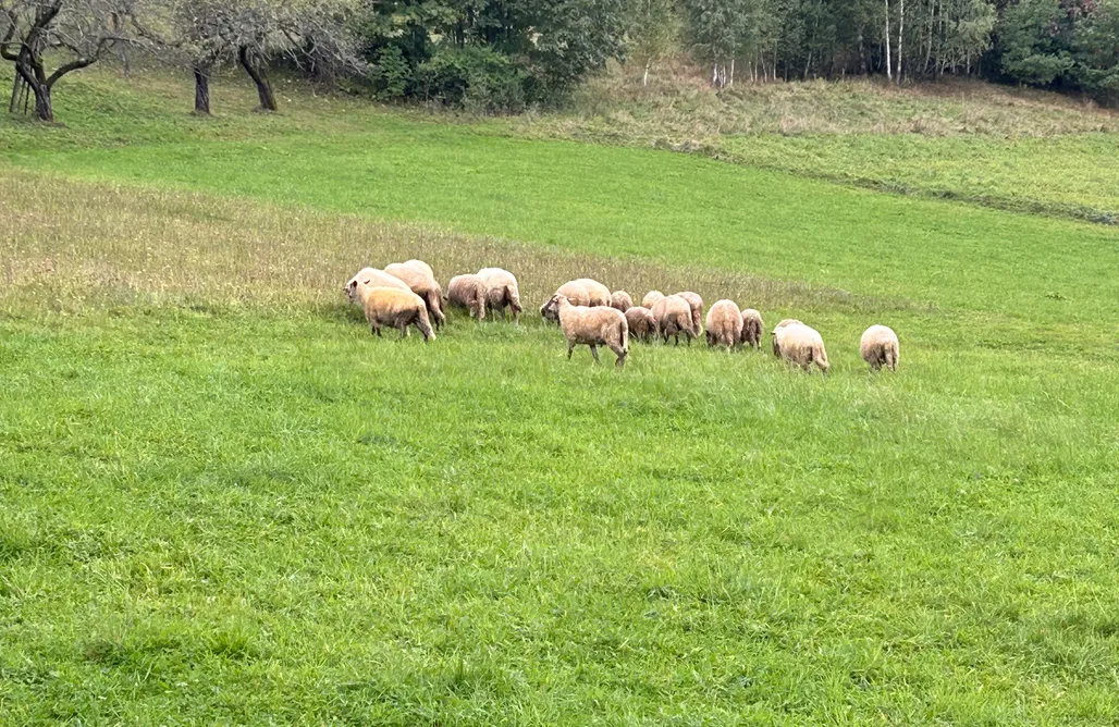 Pieniny Nocleg Jodełkowa Stodoła 1