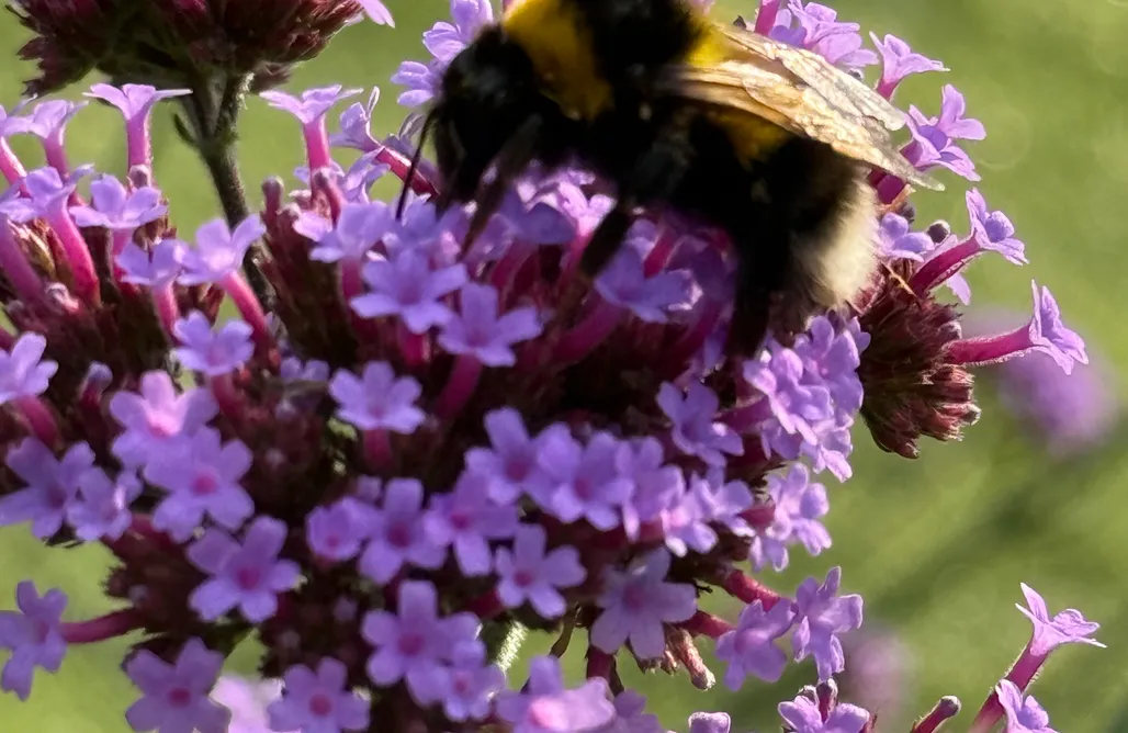 Hotel Karpacz lovNatura 1