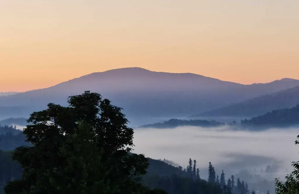 AlohaCamp Chata Misiorka 1