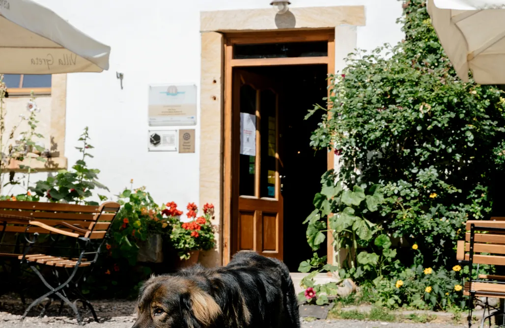 AlohaCamp Pokój 2-osobowy 1