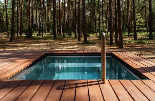 Zdjęcie obiektu boroteka