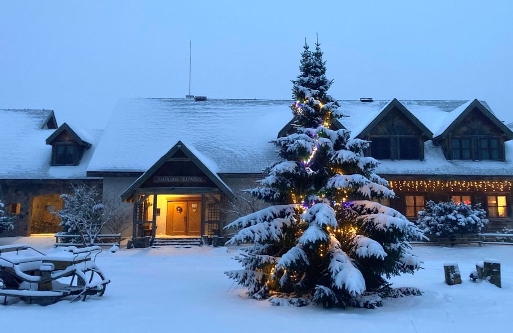 First Minute 2025 Zagroda Kuwasy 2