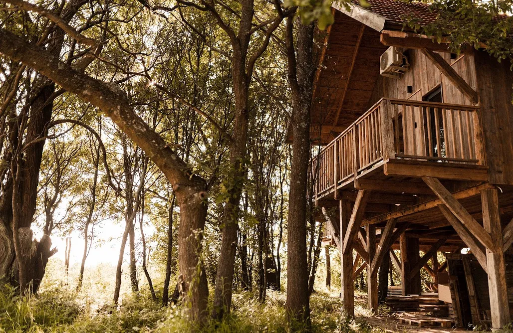 AlohaCamp Dom na drzewie Dąb 2