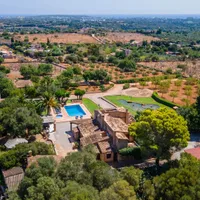 JAIME gospodarz Finca Can Bosco