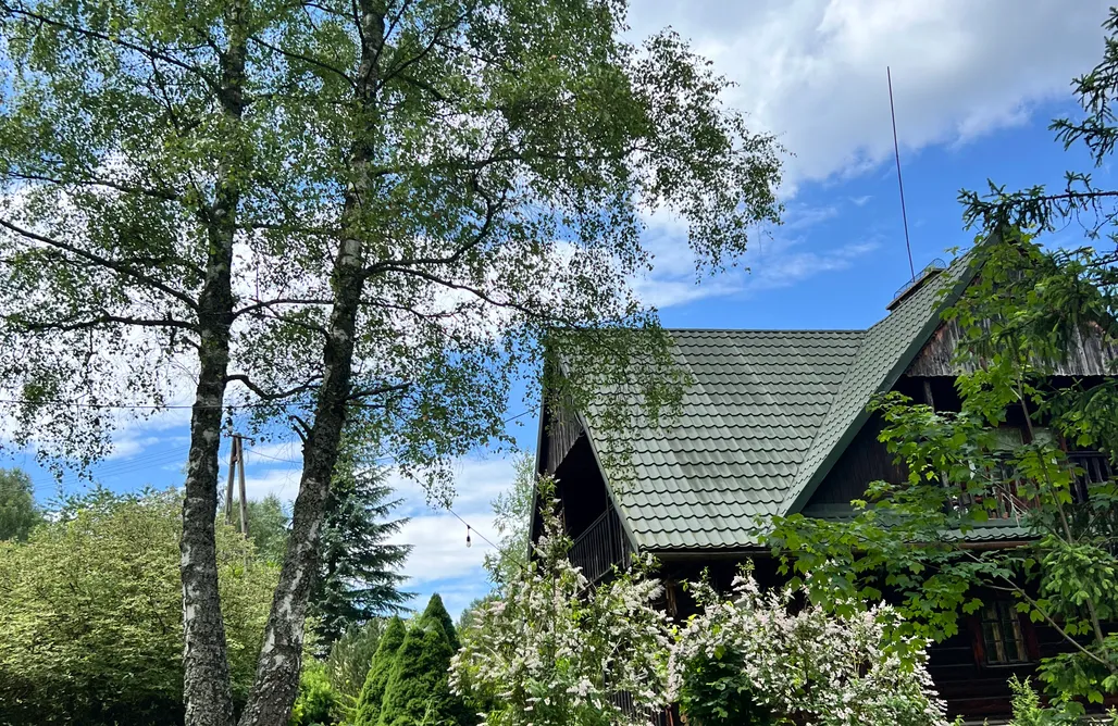 Domek W Lesie Nad Jeziorem Lachówka 1