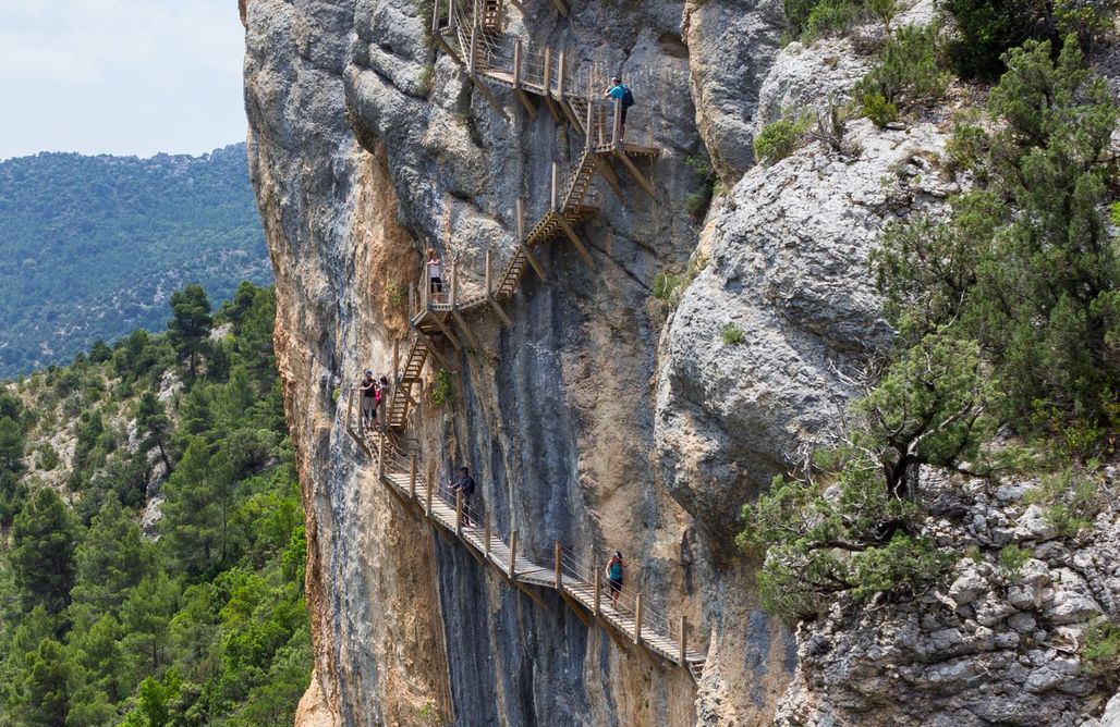 AlohaCamp accommodation Zenith Experience: Glamping para grupos de 8-20 personas 5