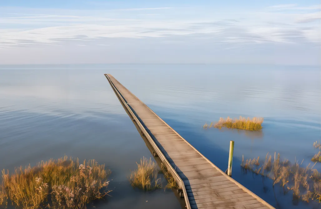 Ferienhaus direkt am Strand Tiny Haus 1