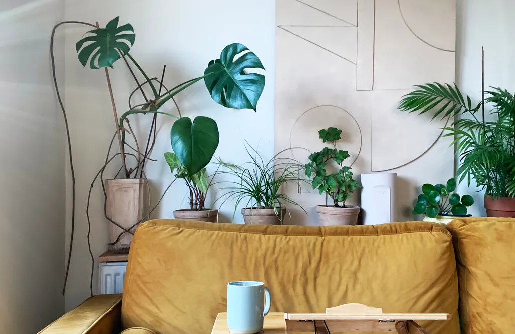 alojamientos AlohaCamp Mech i Szyszka - domki z wagonu pocztowego i z drewna 1