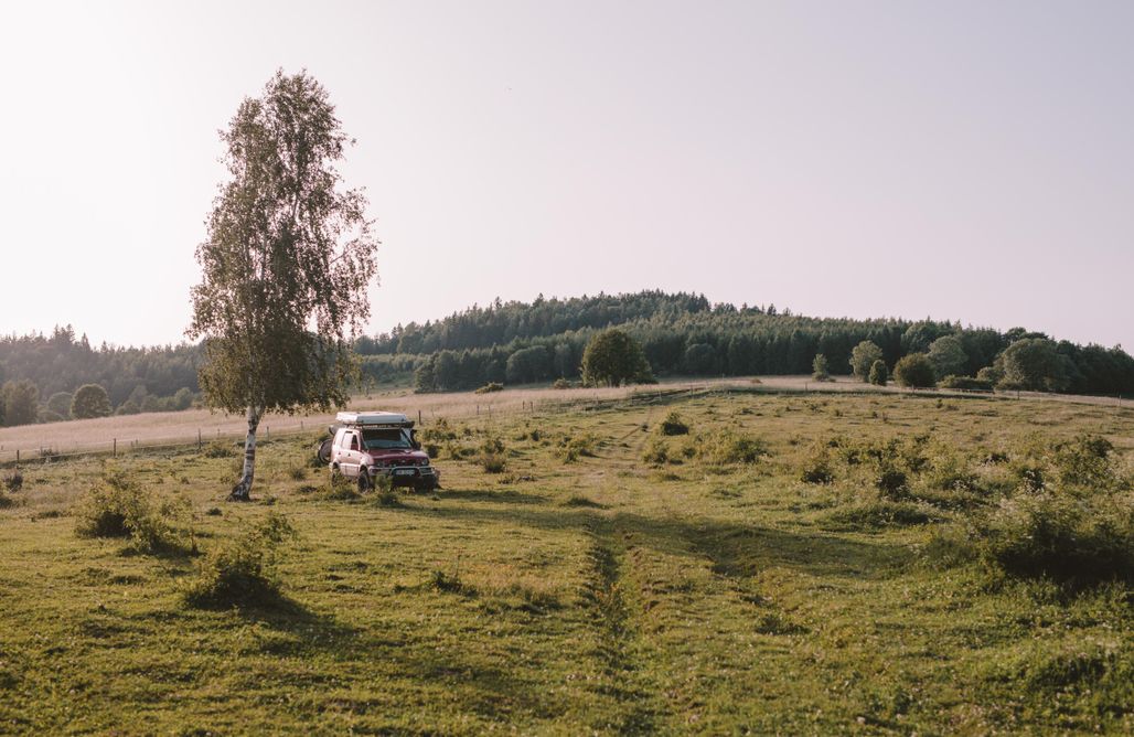 noclegi AlohaCamp Miejsce kamperowe - Hiacyntowa Zagroda 5
