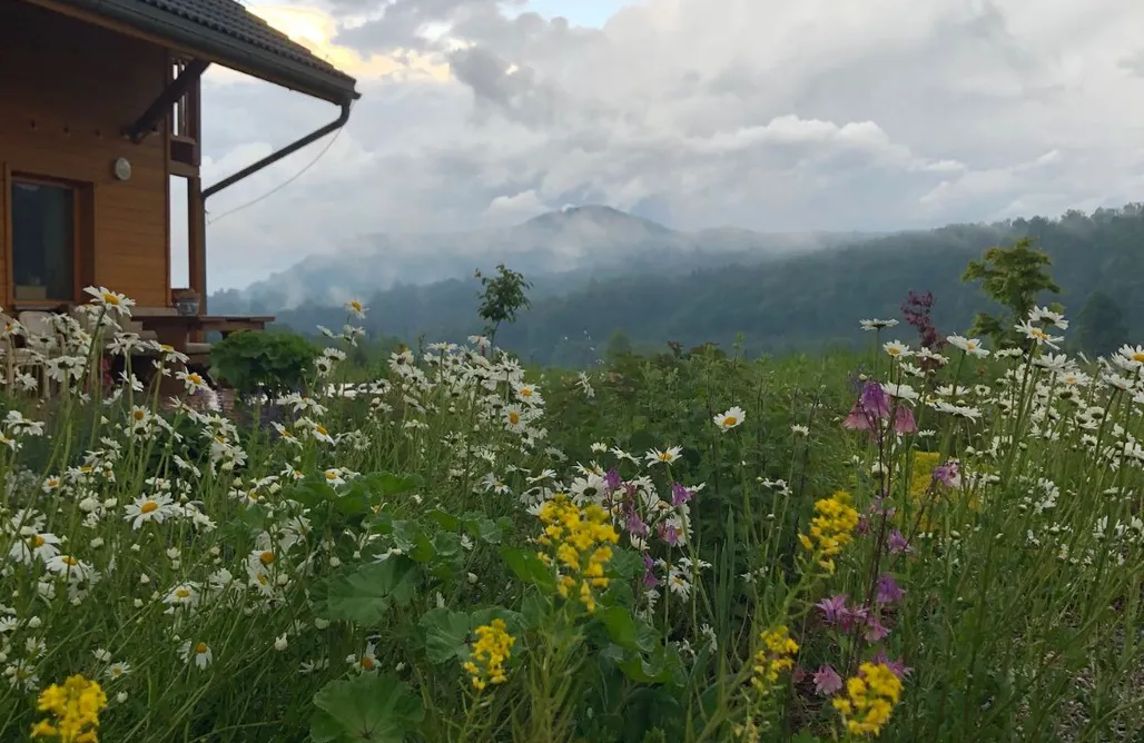 Siedlisko Natury AlohaCamp