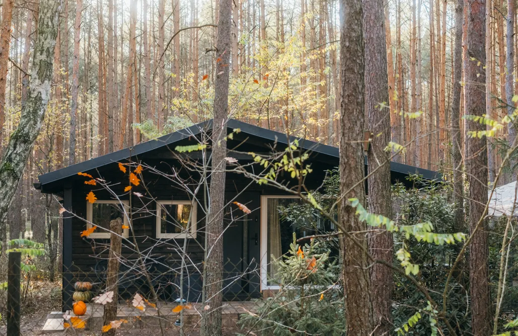 alojamientos AlohaCamp Dom w środku lasu  4