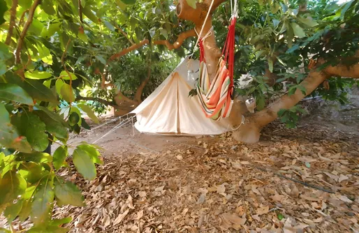 Imagen de Bio Glamping yurta el mirador Eco tropical
