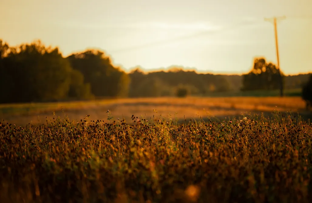 Tanie Noclegi Giżycko Pilwa 17 - Glamping na Łące 1