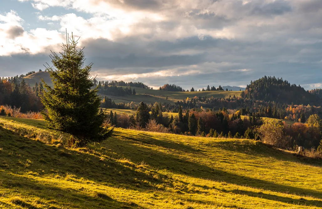 ubytovanie AlohaCamp Górska Ostoya - Adults Only 1