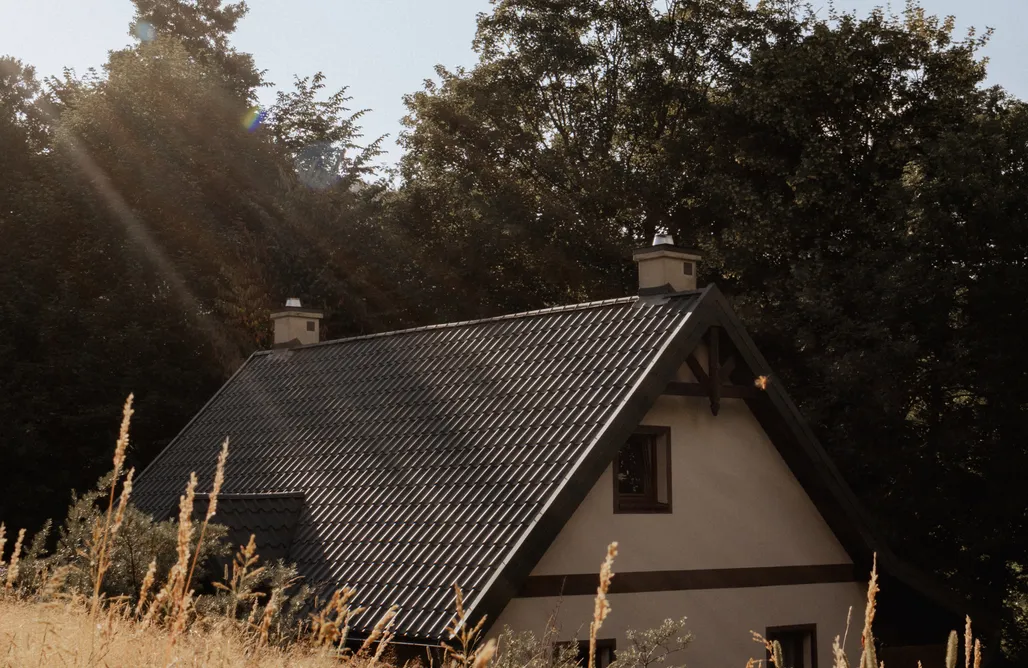 Vrolijke Wolk Agrotoerisme AlohaCamp