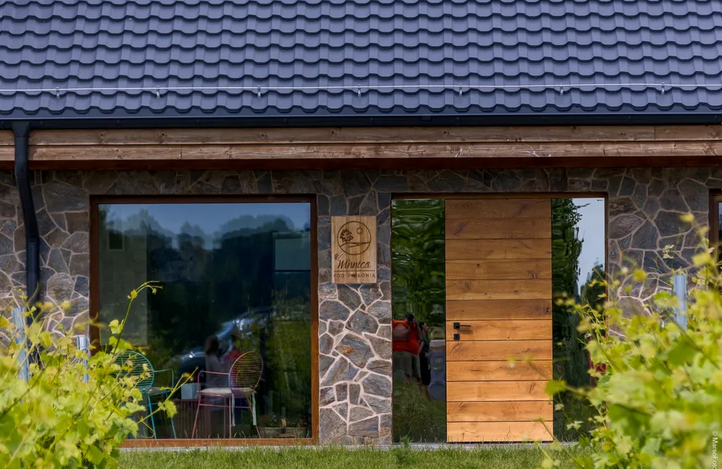 noclegi AlohaCamp Miejsce kamperowe - Winnica Pod Jabłonią 5