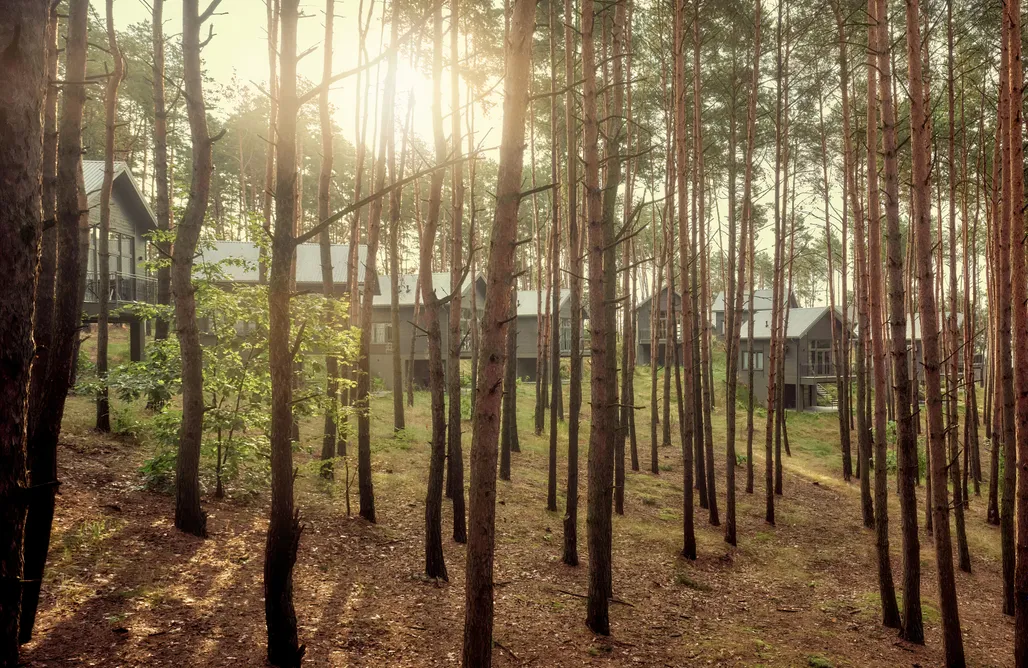 noclegi AlohaCamp Góra Spokoju Osada Klimatyczna-Leśna 1