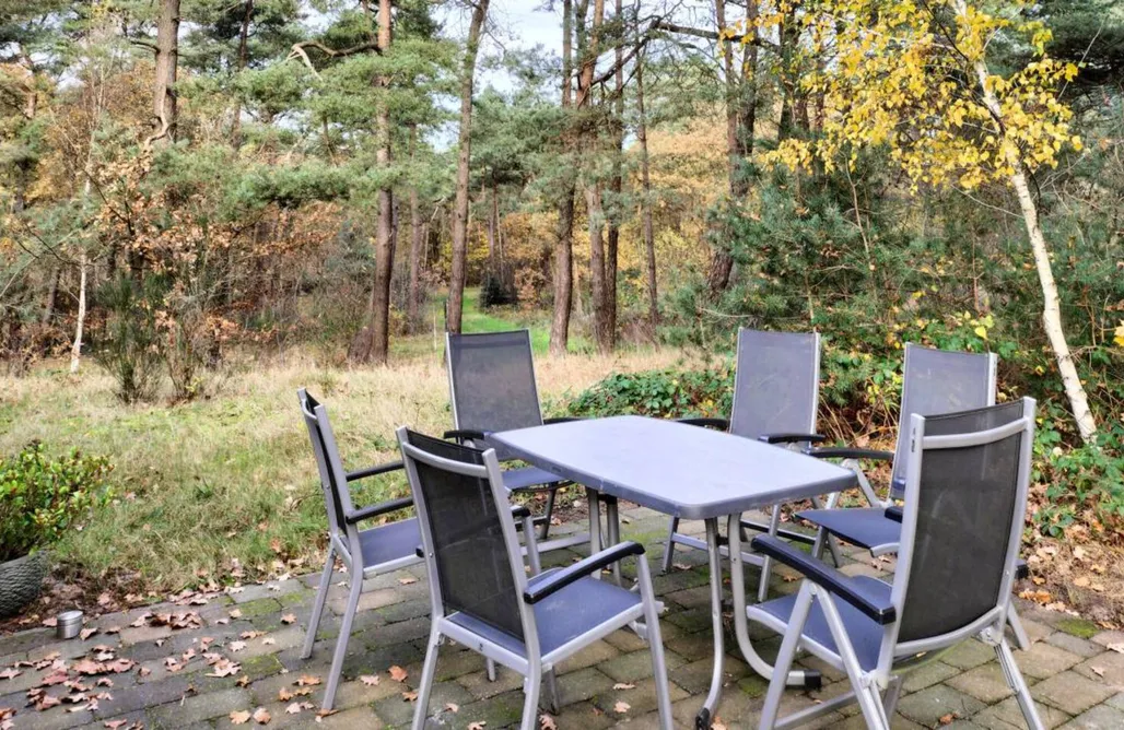 Hütte Im Wald Mieten Münster Lamele Omen 1