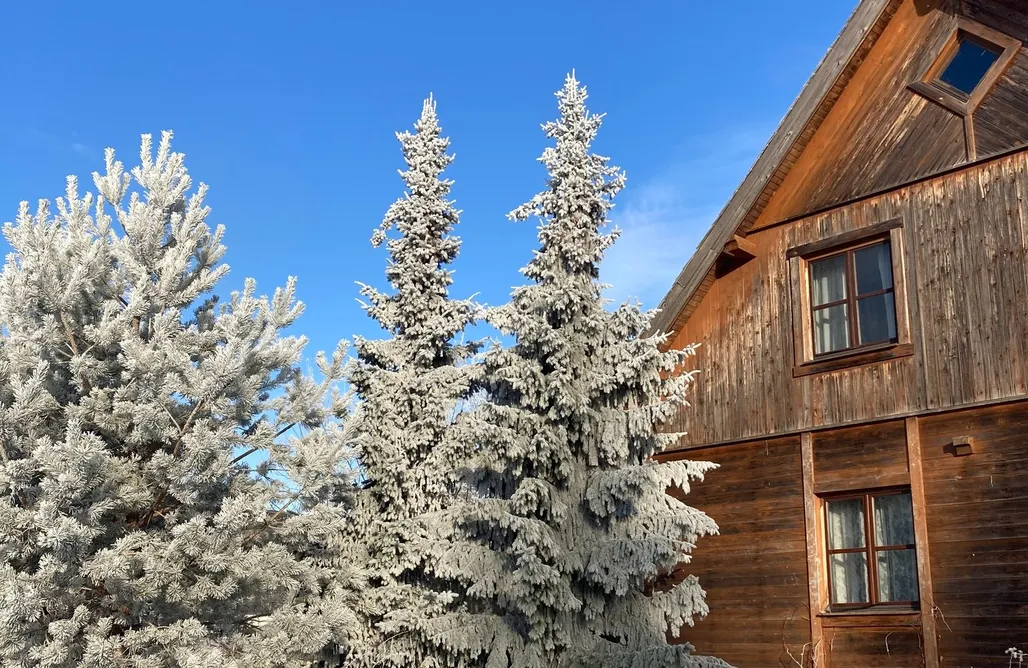 First Minute 2025 Zagroda Kuwasy 3