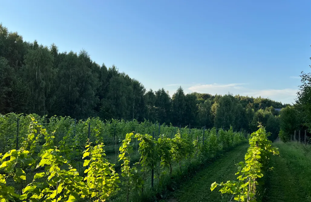 AlohaCamp accommodation Zatrzymaj się u Nas - Dom na wyłączność 5