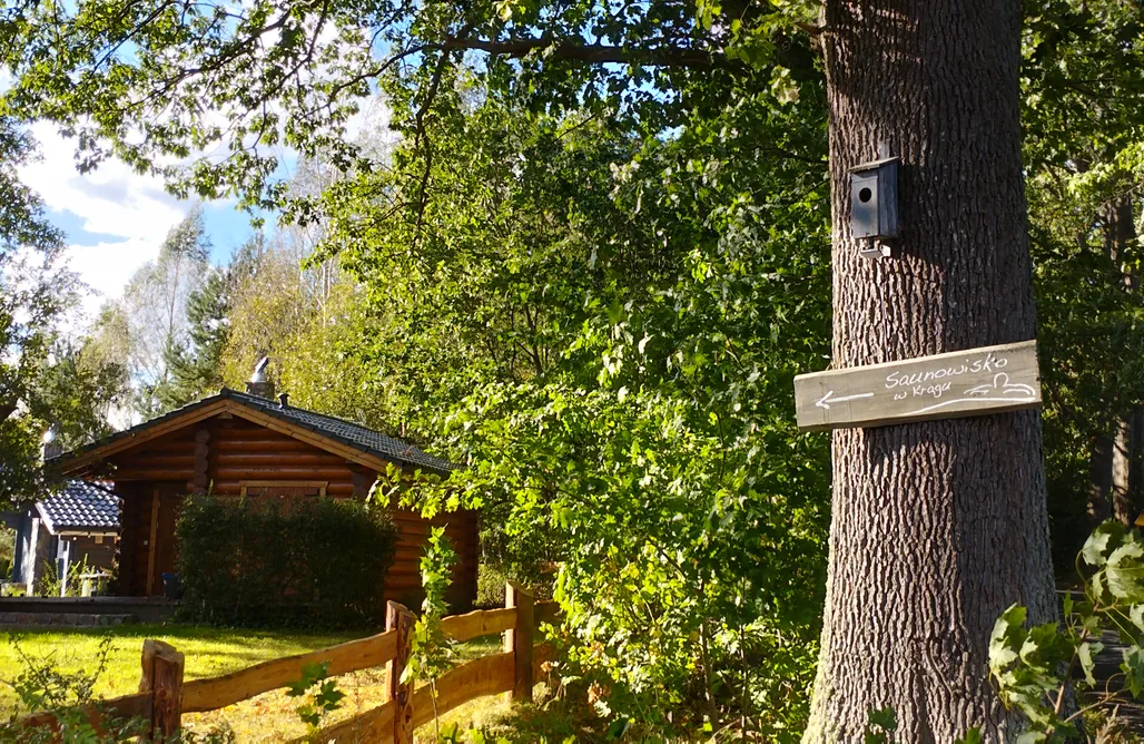 Domki Mielno Saunowisko pod Jabłonią - Dom Żółty  1