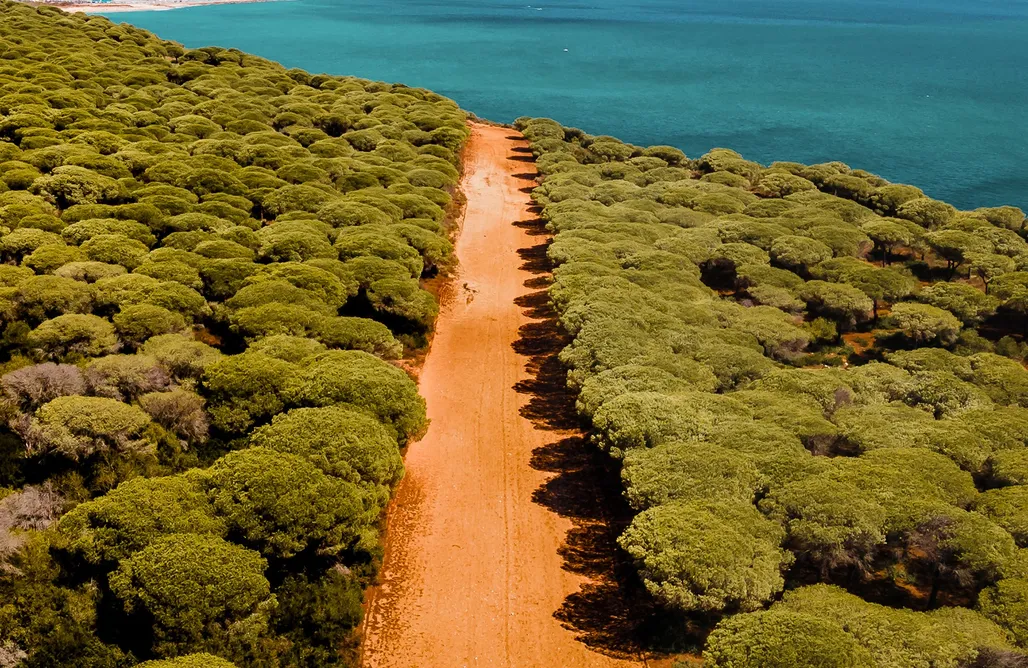 alojamientos AlohaCamp Casa Lucas&Cloe 5