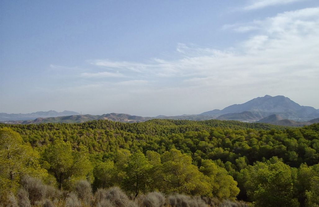 AlohaCamp Granja La Carmela 1