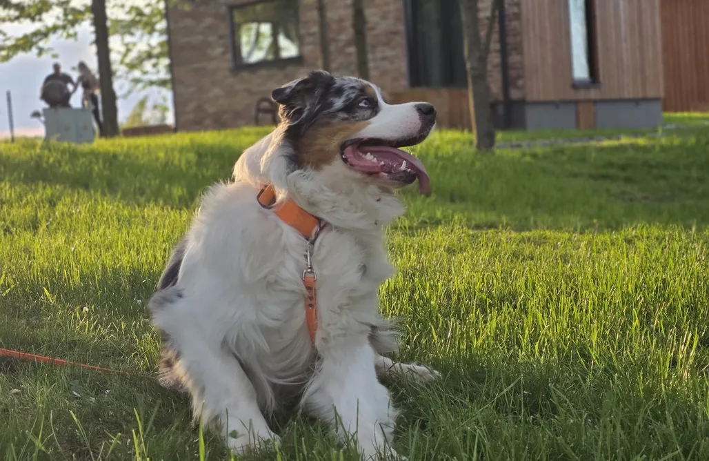 AlohaCamp Domek Ceglany 1