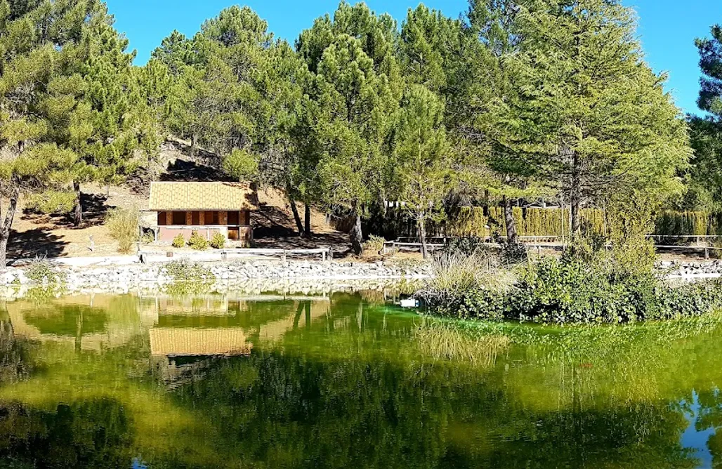 AlohaCamp La Cabaña del lago 3