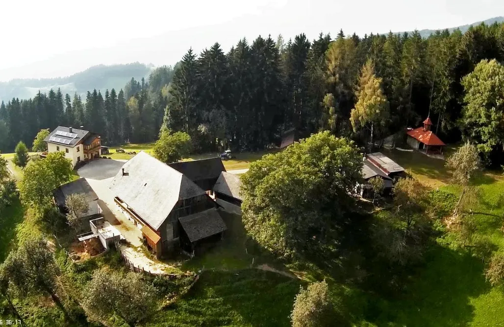 Chalet Hallstatt Stroneggerhof 3