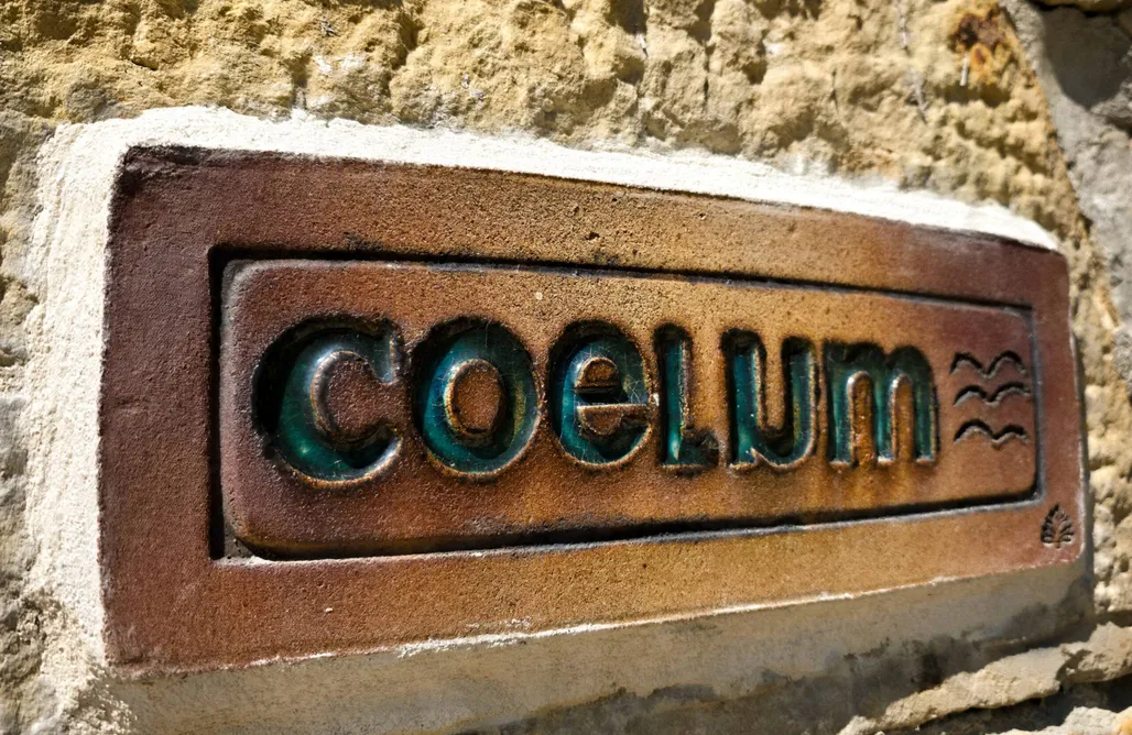 alojamientos AlohaCamp Vacas con Encanto / Terra y Caelum 5