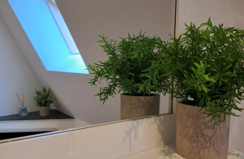 AlohaCamp Ferienhaus Siebenschlafer  1