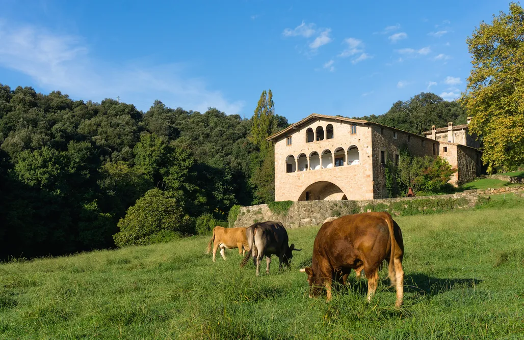 Villa Con Piscina Privada Casa Rural El Callís 3