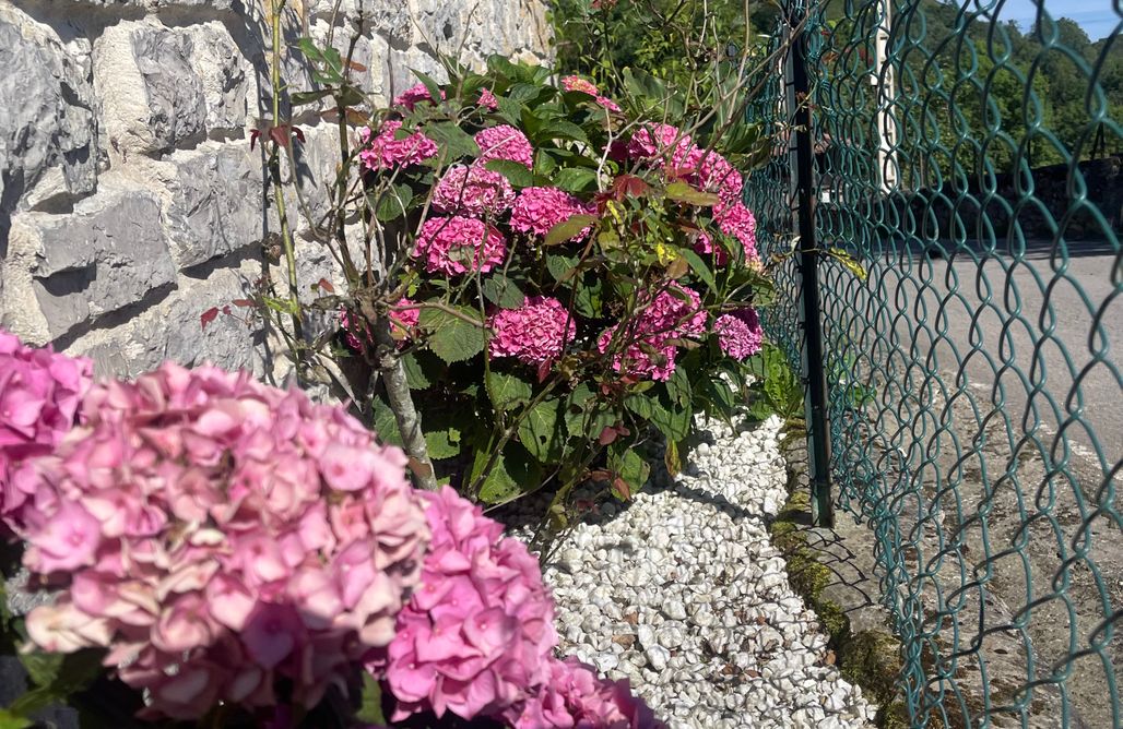 AlohaCamp Vete Polo Segau 1