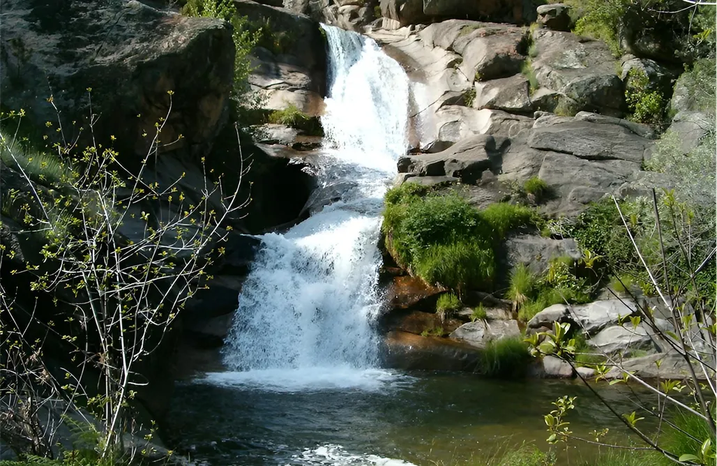 Cabaña Col AlohaCamp