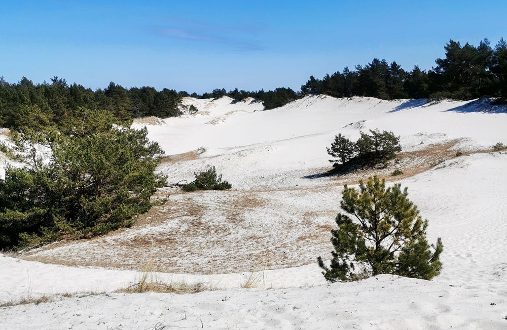 AlohaCamp Domek Wieczorową Porą 1