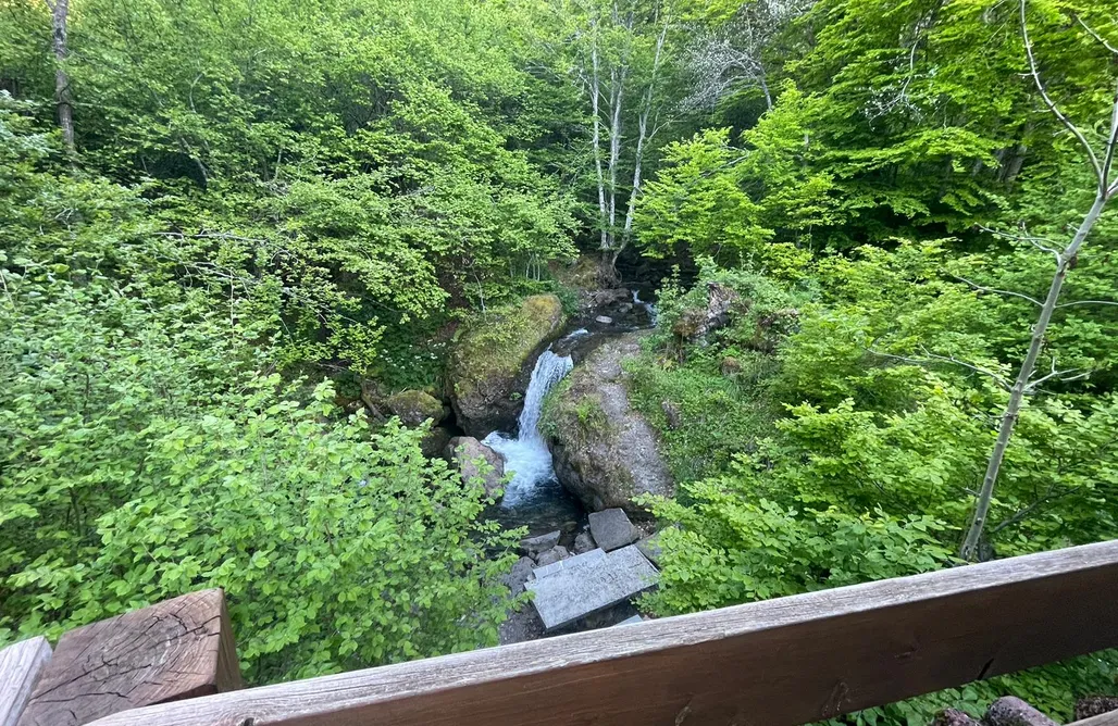 Alojamientos Cantabria 🌳 Camping el Cares, Picos de Europa - Cabañas 1