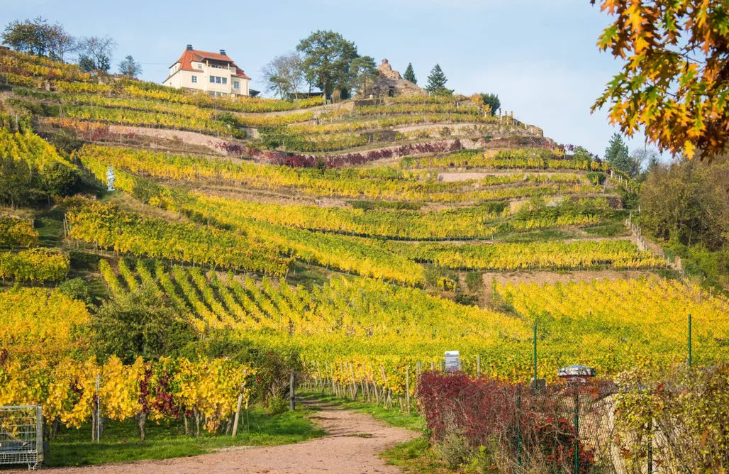 noclegi AlohaCamp Tinyhaus Tiny-Lofts auf dem Rittergut Wildberg 4