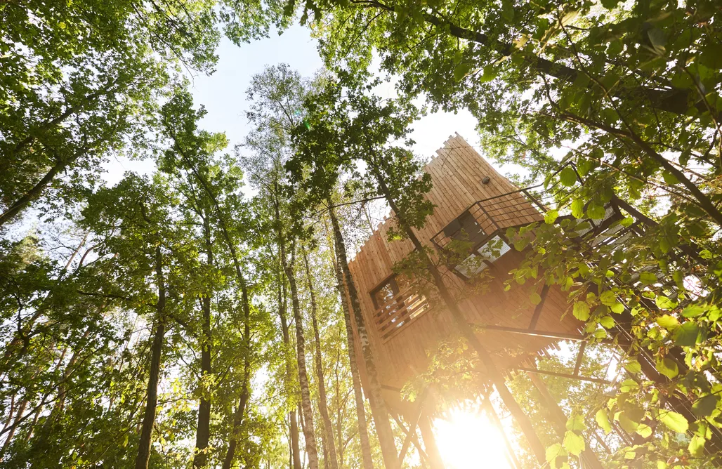 AlohaCamp Czatownia nr 3 leśna 1