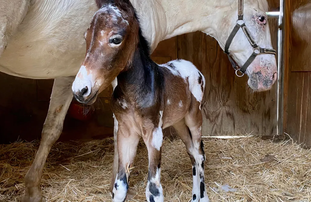 Cave House Spain Preciosa casita privada en granja rural 1