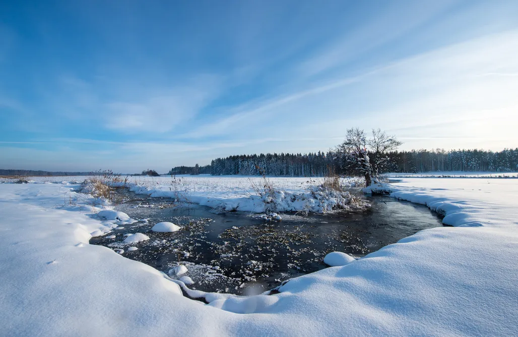 noclegi AlohaCamp Uroczy Dom przy Puszczy Knyszyńskiej 1