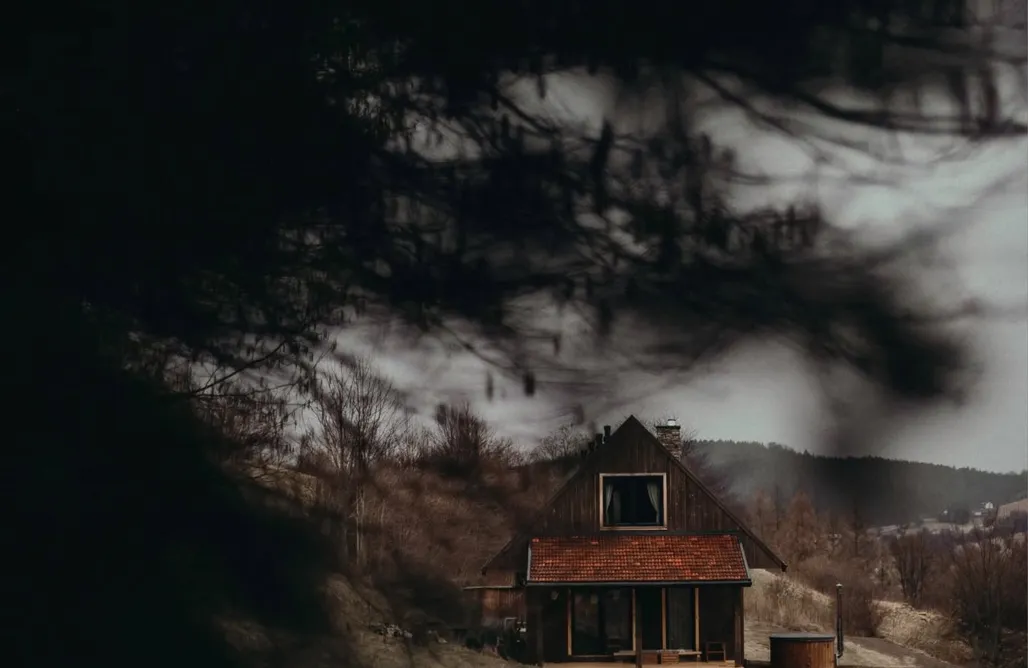 Kalnica Domki Mech i brzoza 1